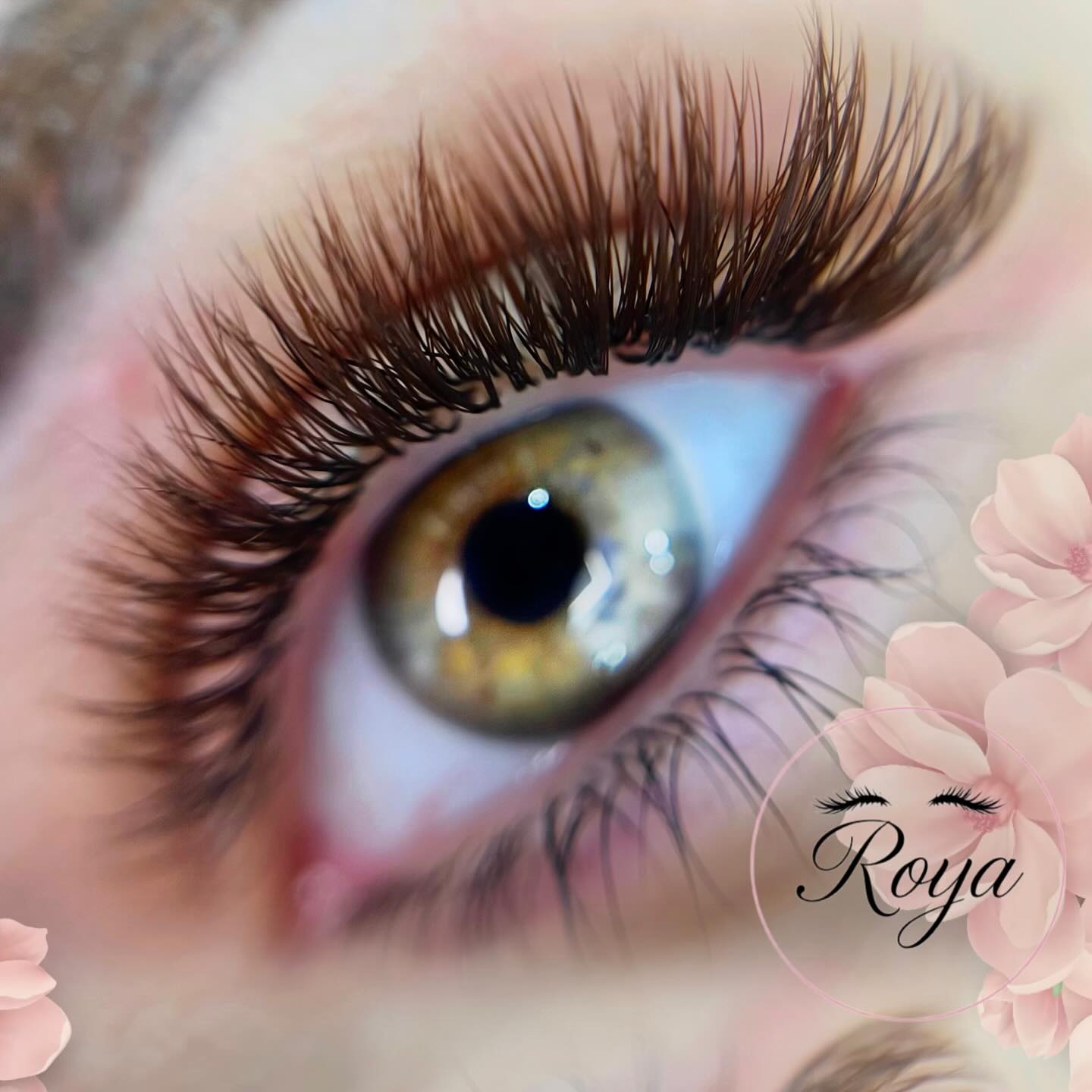 نمونه‌کار اكستنشن مژه رویا